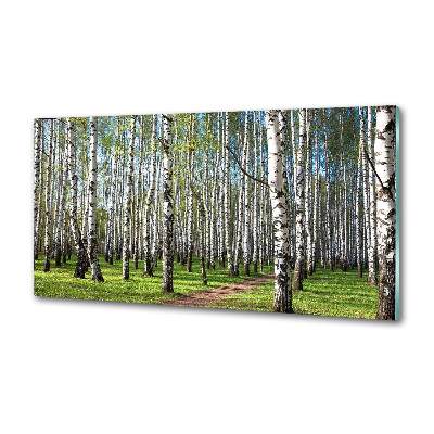 Kitchen wall panels Birch forest