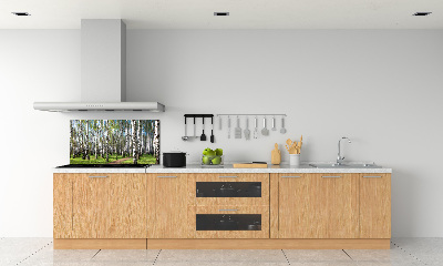 Kitchen wall panels Birch forest