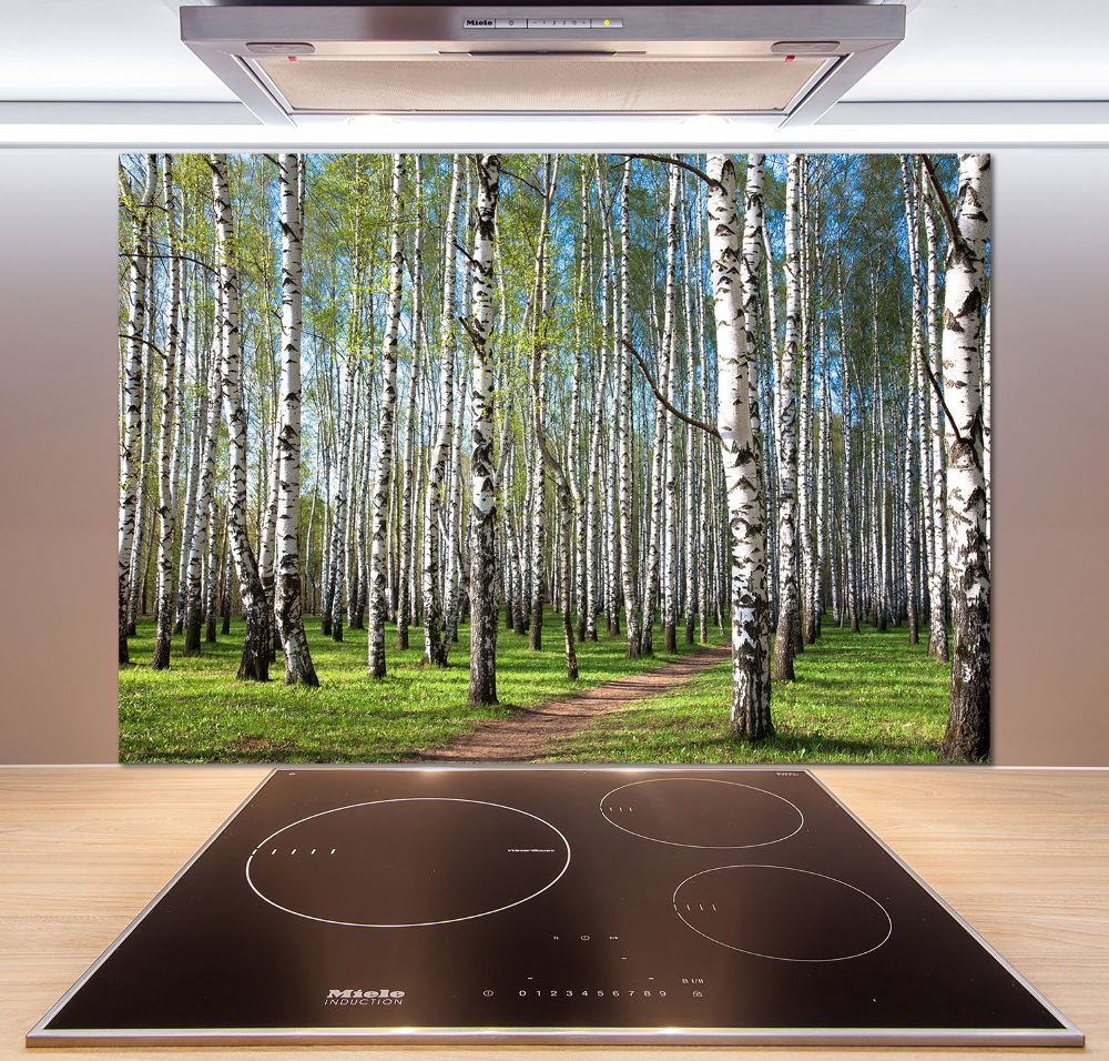 Kitchen wall panels Birch forest