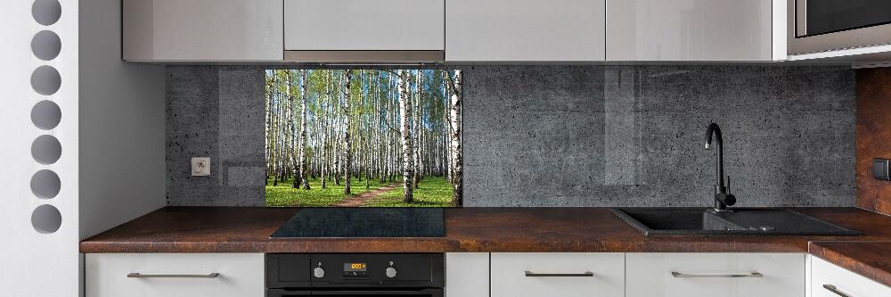 Kitchen wall panels Birch forest