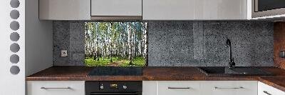 Kitchen wall panels Birch forest