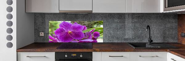 Kitchen wall panels Orchid