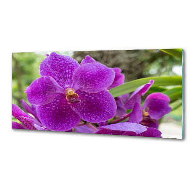 Kitchen wall panels Orchid