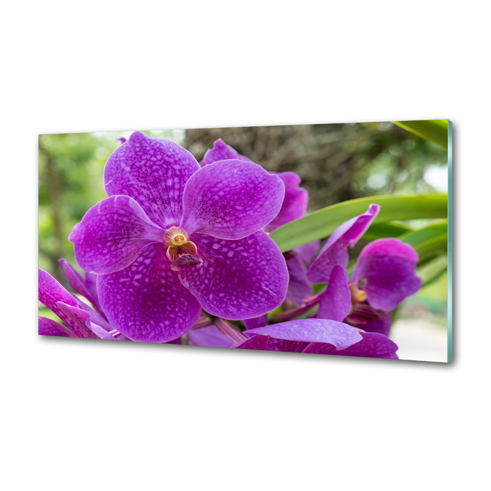 Kitchen wall panels Orchid