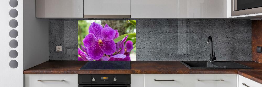 Kitchen wall panels Orchid