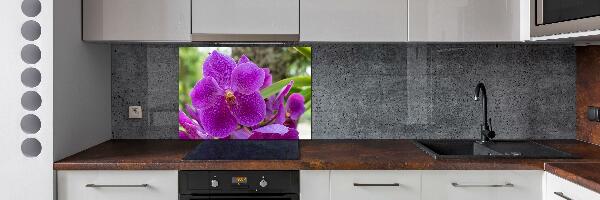 Kitchen wall panels Orchid