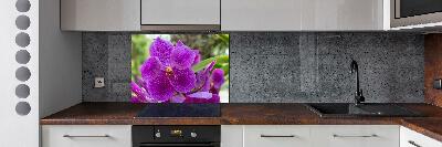 Kitchen wall panels Orchid