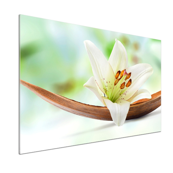 Kitchen wall panels Lily