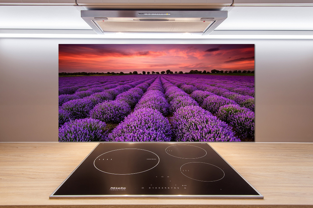 Cooker splashback Lavender field