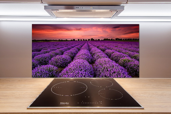 Cooker splashback Lavender field