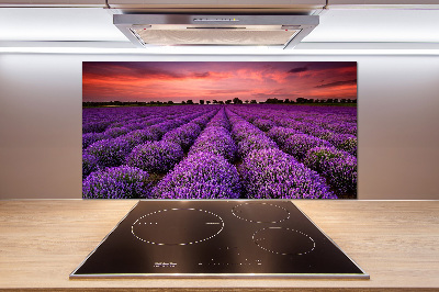 Cooker splashback Lavender field