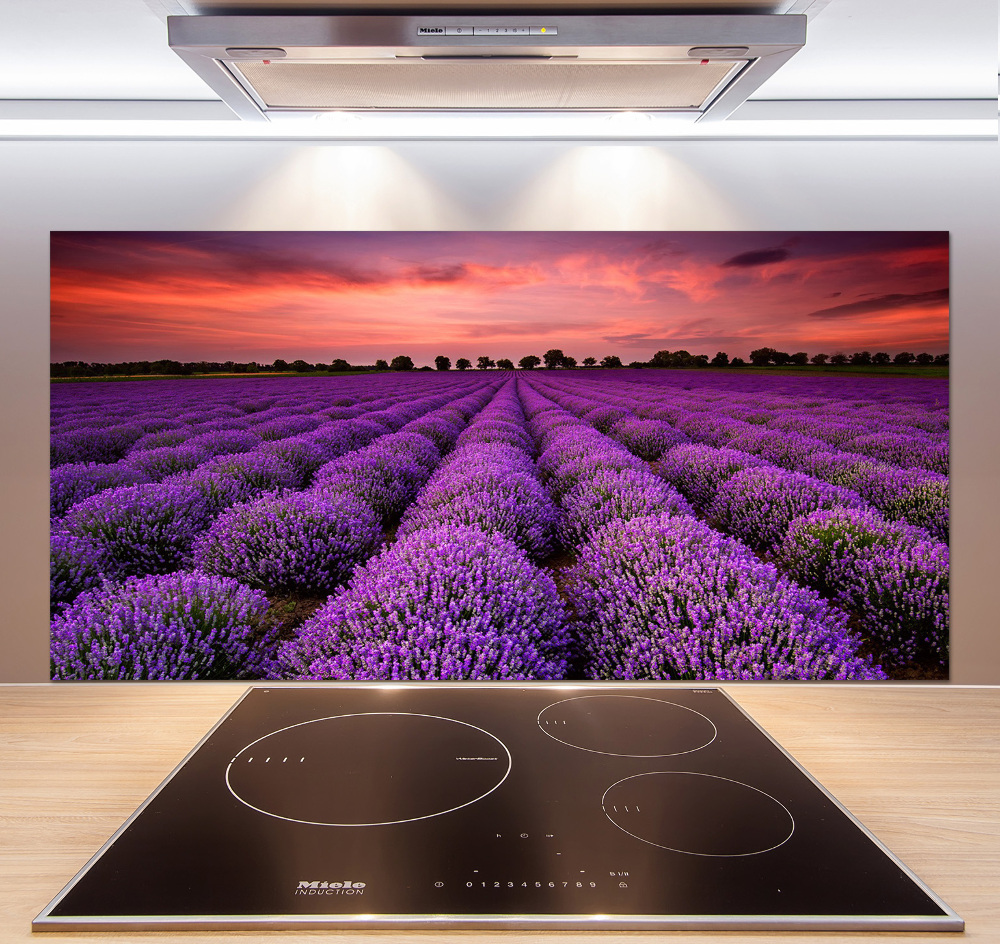 Cooker splashback Lavender field