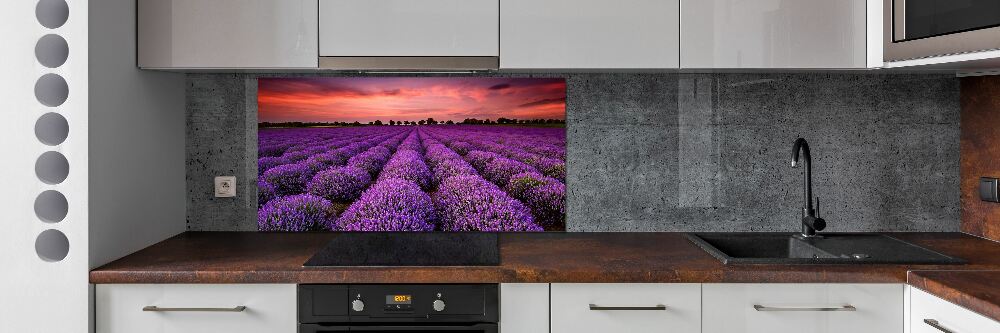 Cooker splashback Lavender field