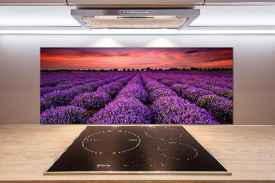 Cooker splashback Lavender field