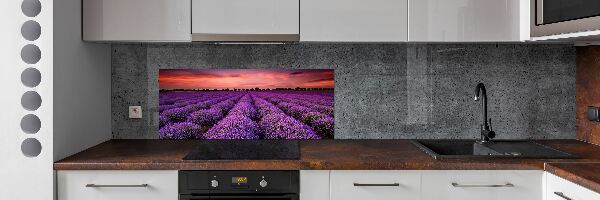 Cooker splashback Lavender field