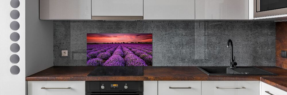 Cooker splashback Lavender field