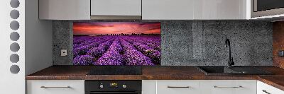 Cooker splashback Lavender field