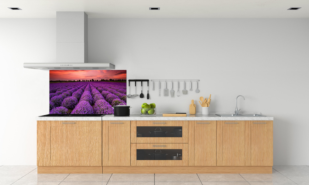 Cooker splashback Lavender field