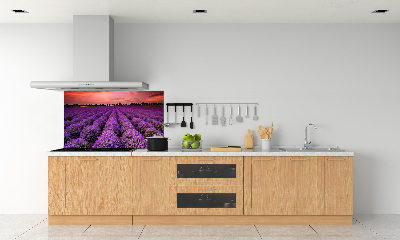 Cooker splashback Lavender field