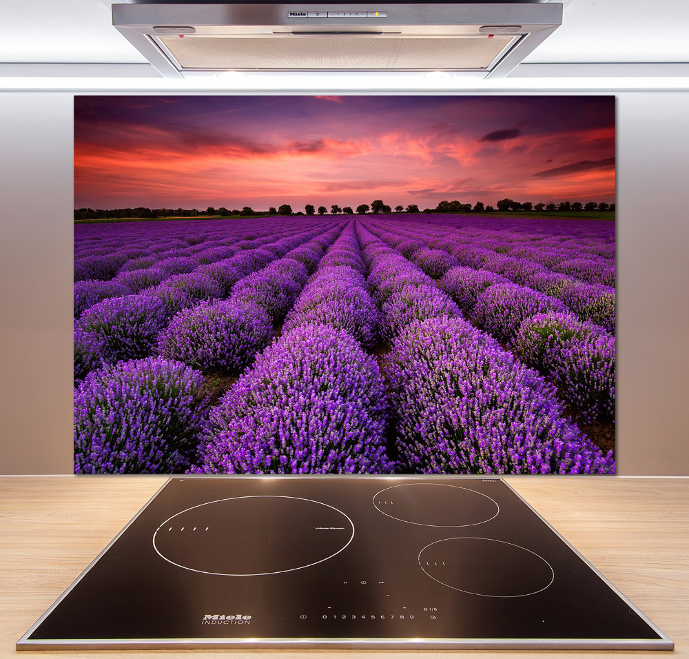 Cooker splashback Lavender field