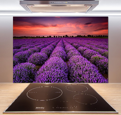 Cooker splashback Lavender field