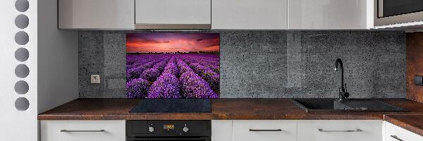 Cooker splashback Lavender field