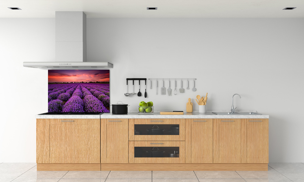 Cooker splashback Lavender field