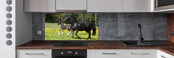 Cooker splashback Mare with foal