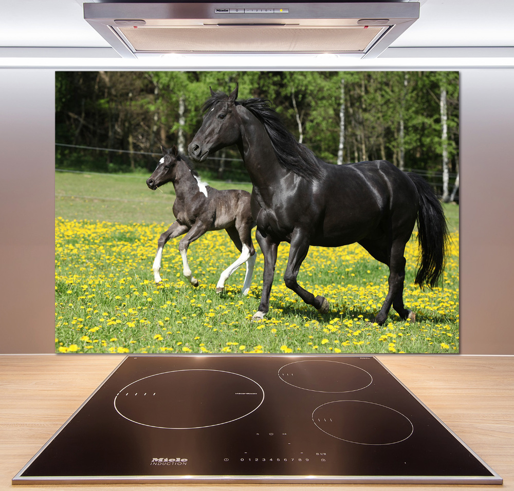 Cooker splashback Mare with foal