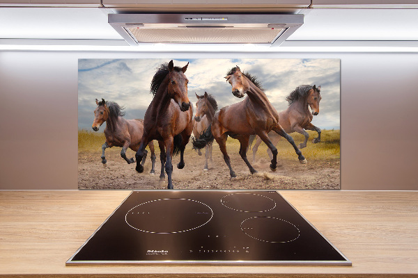 Cooker splashback Five horses