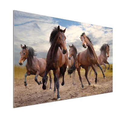 Cooker splashback Five horses