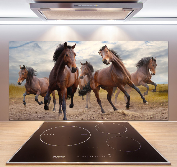 Cooker splashback Five horses