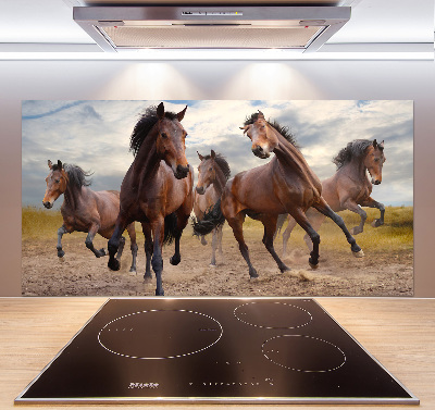 Cooker splashback Five horses