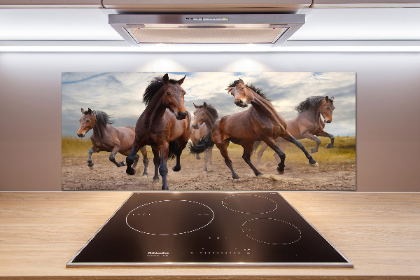 Cooker splashback Five horses