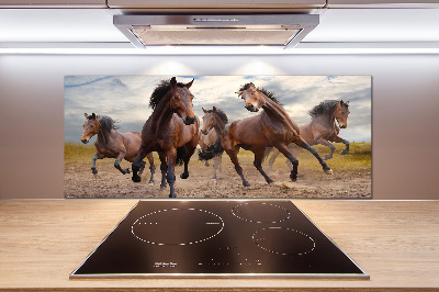 Cooker splashback Five horses