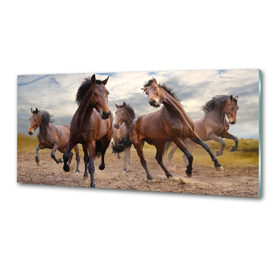 Cooker splashback Five horses