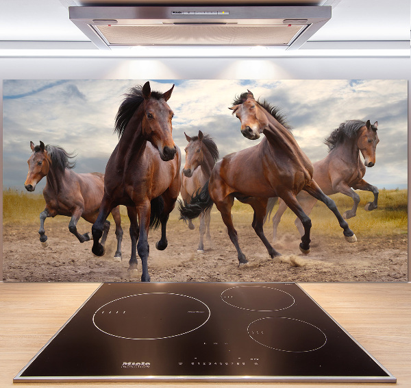 Cooker splashback Five horses