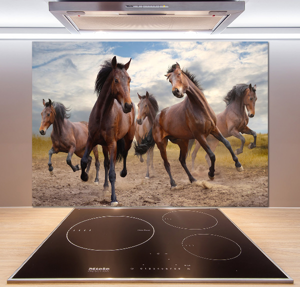 Cooker splashback Five horses