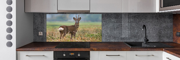 Cooker splashback Roe