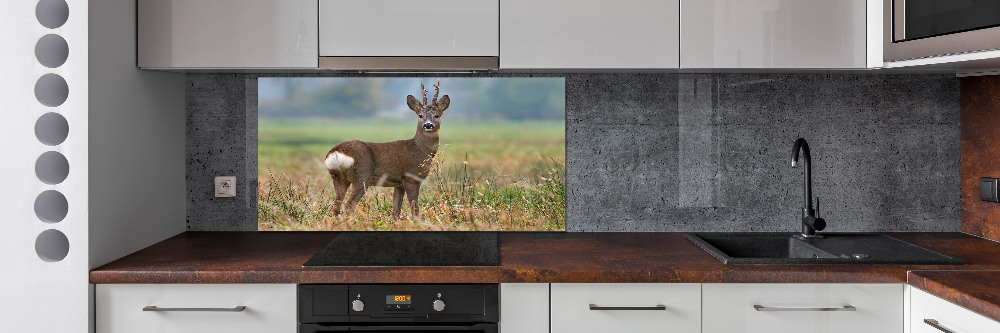 Cooker splashback Roe