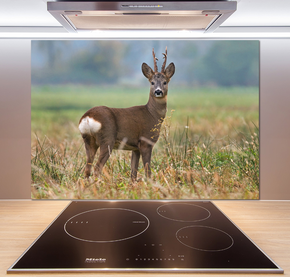 Cooker splashback Roe