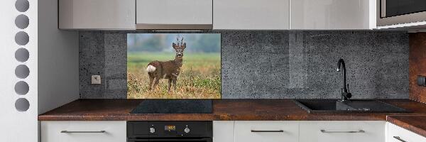 Cooker splashback Roe