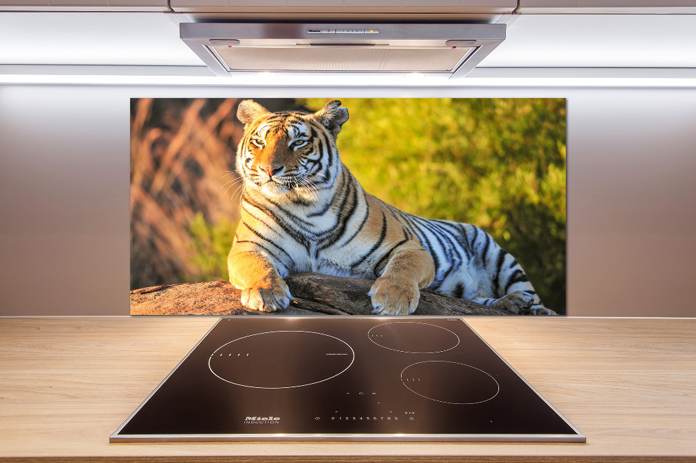 Cooker splashback Portrait of a tiger