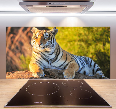 Cooker splashback Portrait of a tiger