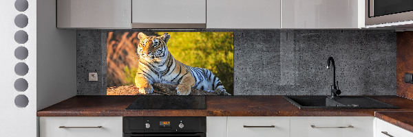 Cooker splashback Portrait of a tiger