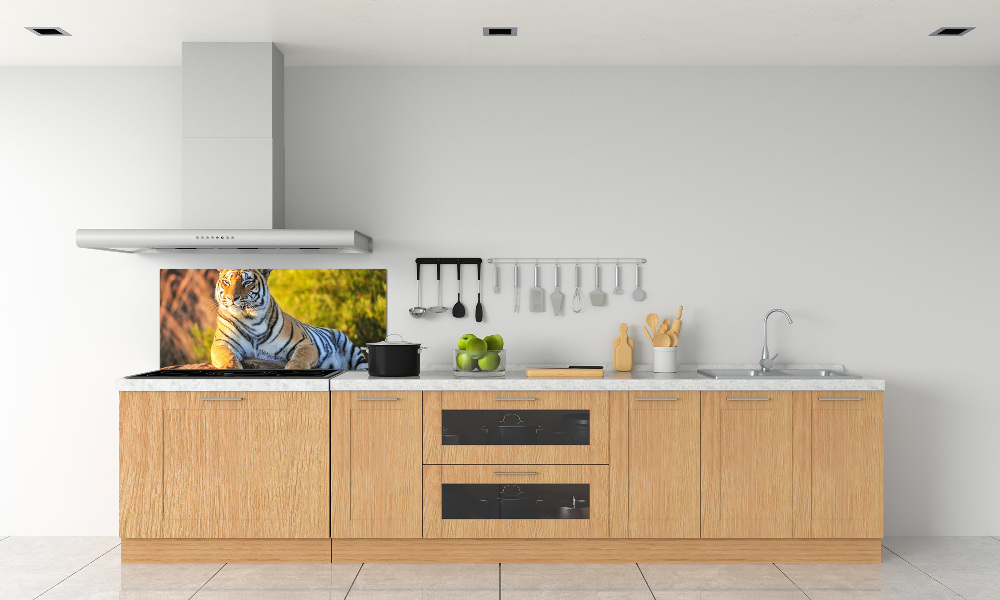 Cooker splashback Portrait of a tiger