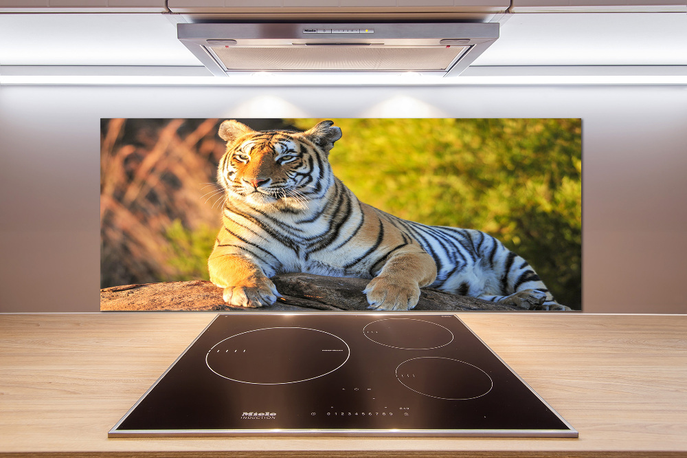 Cooker splashback Portrait of a tiger