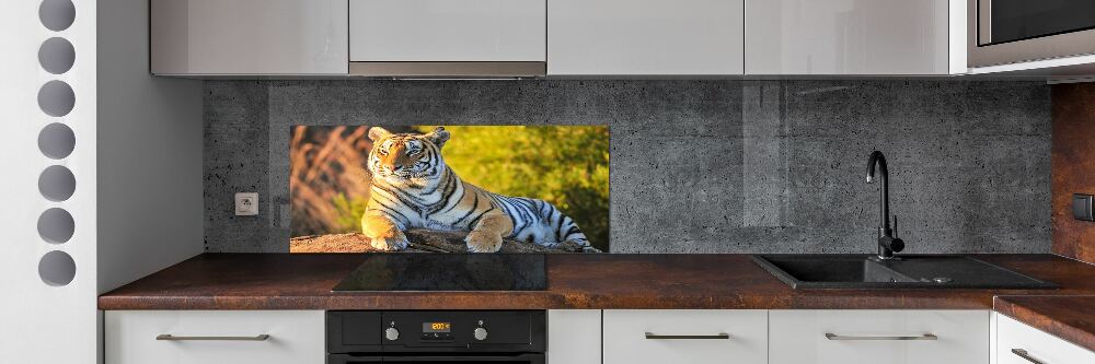 Cooker splashback Portrait of a tiger