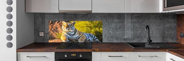 Cooker splashback Portrait of a tiger