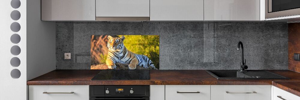 Cooker splashback Portrait of a tiger